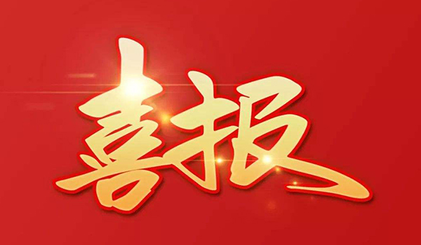 喜報(bào)！熱烈祝賀耐氟隆集團(tuán)榮獲2022年溫州市高成長型工業(yè)企業(yè)！